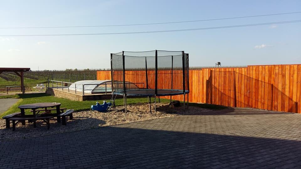 Penzion Kosik Tvrdonice Bagian luar foto